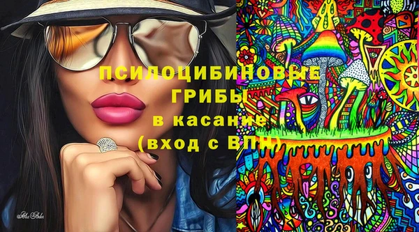 гидропоника Белокуриха