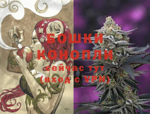 гидропоника Белокуриха