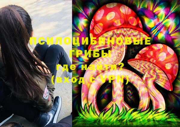 гидропоника Белокуриха