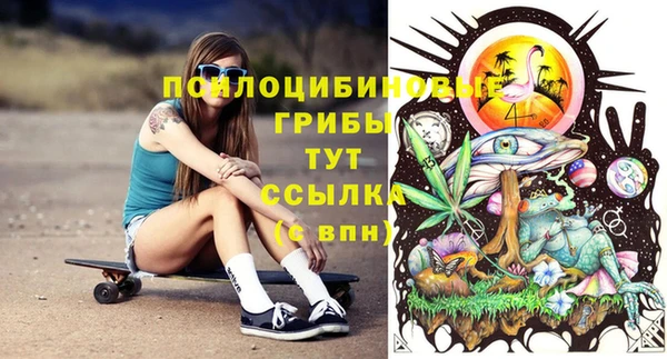 гидропоника Белокуриха